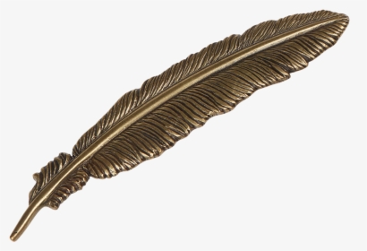 Clip Art Free Photo Nature Natural - Feather In A Hat, HD Png Download, Transparent PNG