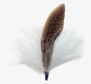 Single German Hat Feather Decor White/brown - Calligraphy, HD Png Download, Transparent PNG