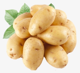 Good Quality Potatoes, HD Png Download, Transparent PNG