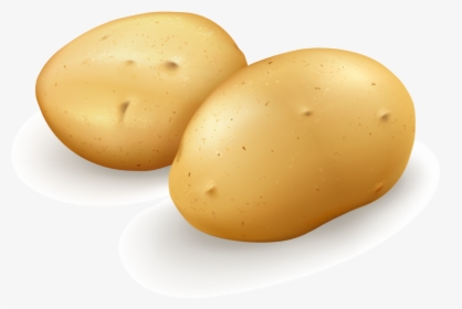 Potato Vector Png, Transparent Png, Transparent PNG