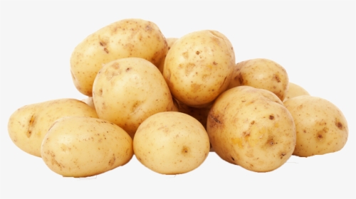 Russet Burbank Potato - Michigan Potatoes, HD Png Download, Transparent PNG