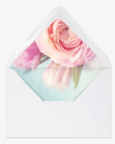 Transparent Pink Peony Png - Hybrid Tea Rose, Png Download, Transparent PNG