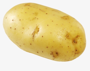 Transparent Cute Potato Png - Potato Clipart Png, Png Download, Transparent PNG