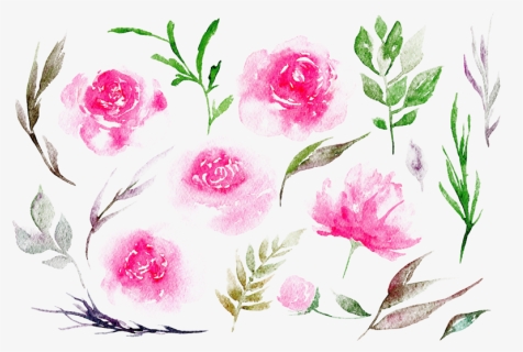 Transparent Weather Clip Art - Pink Peonies Watercolor Png, Png Download, Transparent PNG