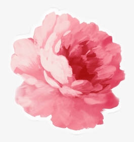 #pink #peonies #flower #sticker - Pink Flower Tumblr Png, Transparent Png, Transparent PNG