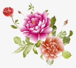 Clip Art Artificial Pink Peonies - 牡丹 花 手繪 素材, HD Png Download, Transparent PNG