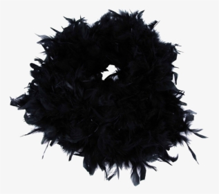 Feather Boa Transparent Image - Black Feather Boa Png, Png Download, Transparent PNG