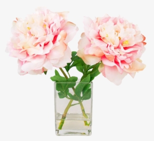 Transparent Pink Peony Png - Peony Water Vase, Png Download, Transparent PNG