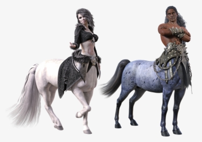 Centaur, Kentaur, Kentauros, Horseman, Horsewoman - Centaur Png, Transparent Png, Transparent PNG