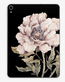 Light Pink Peony Skin Ipad Pro 11 - Chrysanths, HD Png Download, Transparent PNG