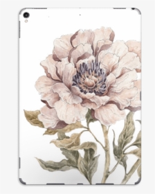Peony Light Pink Skin Ipad Pro - Chrysanths, HD Png Download, Transparent PNG