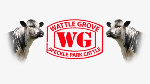 Wattle Grove Speckle Park Logo - Graphic Design, HD Png Download, Transparent PNG