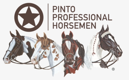 Pinto Horse Association Of America, HD Png Download, Transparent PNG