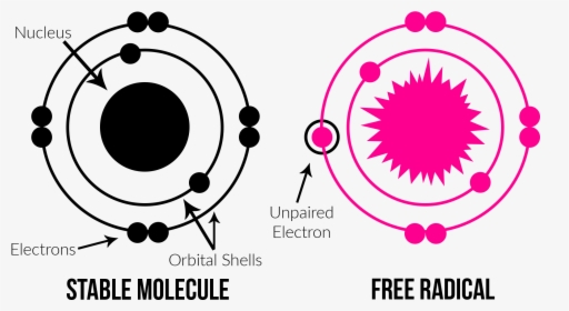 Molecule And Free Radical Diagrams - Free Radical Molecules, HD Png Download, Transparent PNG
