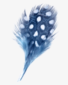 Blue Feather Transparent, HD Png Download, Transparent PNG