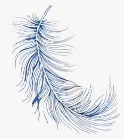 Feather .png, Transparent Png, Transparent PNG