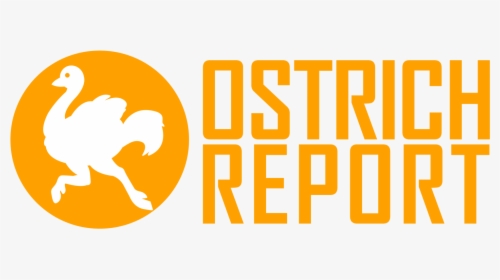 Ostrich Report - Orange, HD Png Download, Transparent PNG