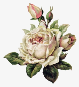 #rosewhite #rosablanca #tumblr #aesthetic #png #draw - White Vintage Floral Png, Transparent Png, Transparent PNG