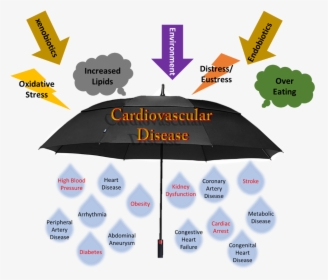 Cvd Umbrella - Coronary Artery Disease Umbrella, HD Png Download, Transparent PNG
