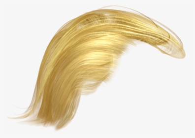 Transparent Trump Hair Png - Transparent Background Trump Hair, Png Download, Transparent PNG