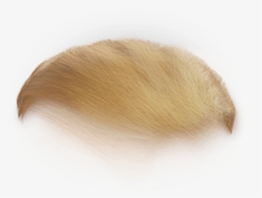 Donald Trump Hair Png Transparent - Blond, Png Download, Transparent PNG