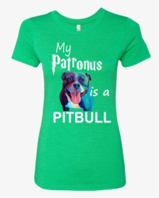 My Patronus Is A Pitbull Next Level Ladies Triblend - Mens Christmas Workout Shirts, HD Png Download, Transparent PNG