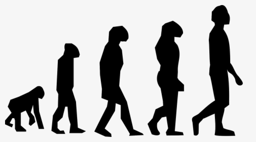 Human Beings - Early Human Evolution, HD Png Download, Transparent PNG