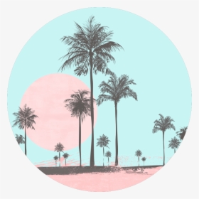 Miami Beach, Miami, Beach, Seaside, Coastal, Palm, - Feeds Instagram Blue Pastel, HD Png Download, Transparent PNG
