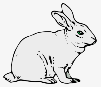 Rabbit Animal Mammal Free Picture - Clip Art Of Rabbit, HD Png Download, Transparent PNG