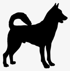 Canaan Dog Working Dog Dog Breed Animal Clip Art - Bull Terrier Vector, HD Png Download, Transparent PNG