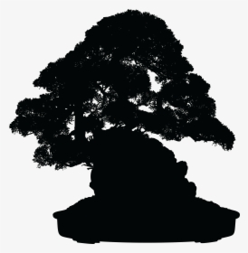 Free Clipart Of A Silhouetted Bonsai Plant - Bonsai Png, Transparent Png, Transparent PNG