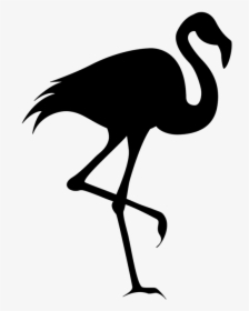 Flamingo Silhouette Clip Art - Silhouette Flamingo Clipart, HD Png Download, Transparent PNG