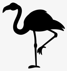 Phoenicopterus Black White Clip Art - Flamingos Clipart Silhouette, HD Png Download, Transparent PNG