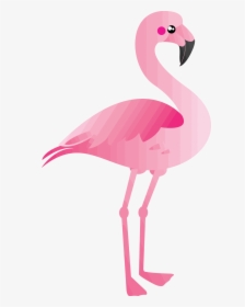 Clip Art - Flamingo Clipart, HD Png Download, Transparent PNG