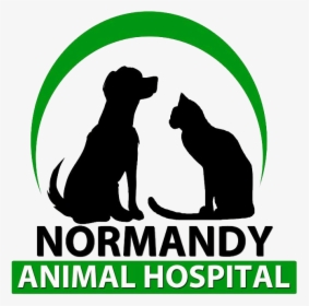 Normandy Animal Hospital - Dog Yawns, HD Png Download, Transparent PNG