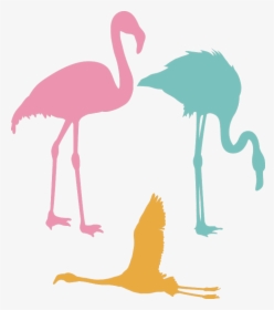 Transparent Flamingo Silhouette Png - Flamenco Volando Png, Png Download, Transparent PNG