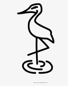 Flamingo Clip Art Black And White, HD Png Download, Transparent PNG