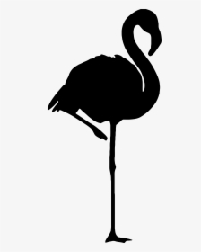 Flamingo Silhouette, HD Png Download, Transparent PNG