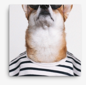 Mensweardog Keep Your Head Up Canvas - Dog, HD Png Download, Transparent PNG