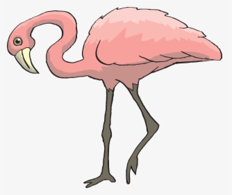 Pink Bird Flamingo Free Picture - Clip Art Animals With Legs, HD Png Download, Transparent PNG