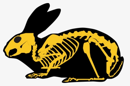 Gold Rabbit Skeleton And Silhouette - Rabbit Skeleton Silhouette, HD Png Download, Transparent PNG