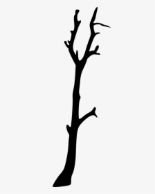 Bare Tree Silhouette  								 Title Bare Tree Silhouette - Silhouette, HD Png Download, Transparent PNG