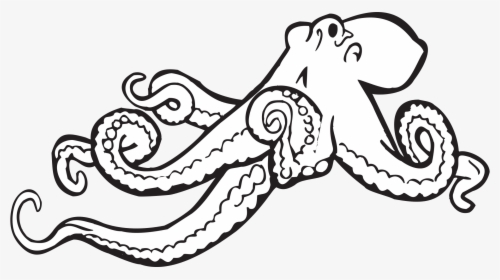 Octopus Illustrations 2 Octopus Vector Image Clipart - Octopus Clipart Black And White, HD Png Download, Transparent PNG