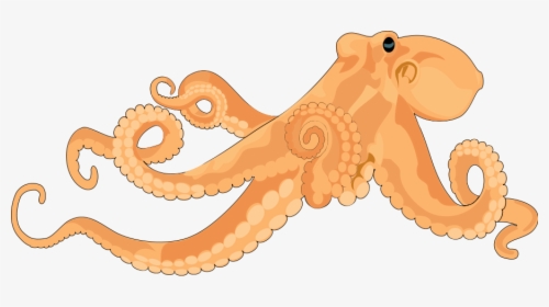 Octopus Images Image Png Clipart - Realistic Octopus Clipart, Transparent Png, Transparent PNG