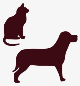 Bombay Cat Kitten Dogu2013cat Relationship Pet Sitting - Black Cat Drawing Easy, HD Png Download, Transparent PNG