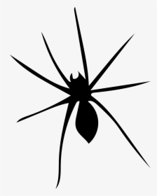 Spider Arachnophobia Arachnid Free Picture - Widow Spider, HD Png Download, Transparent PNG