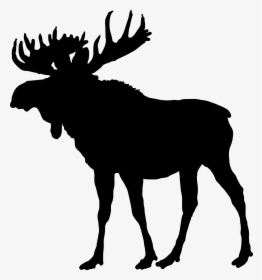 Clip Art A Woodland Of One - Moose Silhouette Png, Transparent Png, Transparent PNG