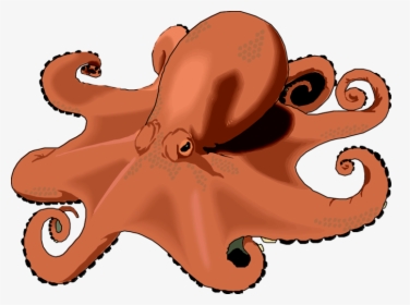 Octopus Clipart Free Images 6 Png - Realistic Octopus Clipart, Transparent Png, Transparent PNG