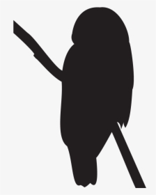 Baseball Bat,silhouette,clip Art,black And White - Northern Saw Whet Owl Silhouette, HD Png Download, Transparent PNG