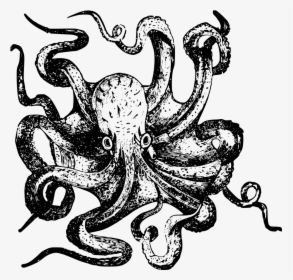 Plastic Network Spread Across Eight Tentacles - Octopus Drawing, HD Png Download, Transparent PNG